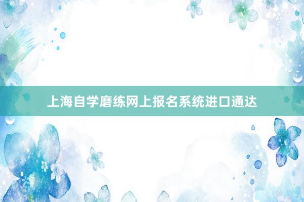 上海自学磨练网上报名系统进口通达