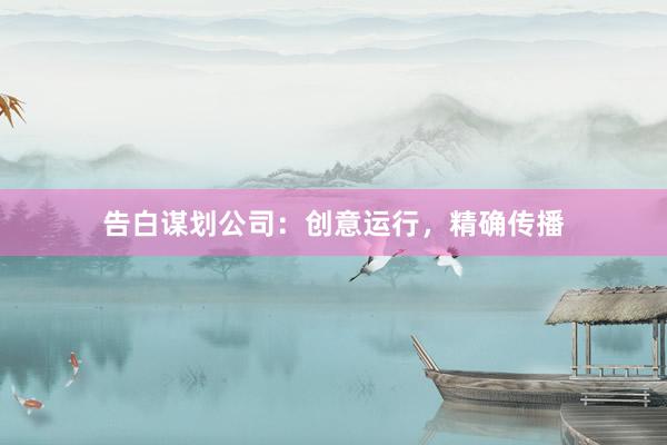 告白谋划公司：创意运行，精确传播