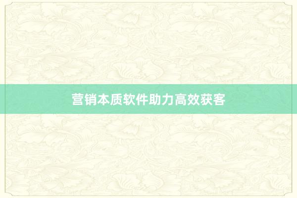 营销本质软件助力高效获客